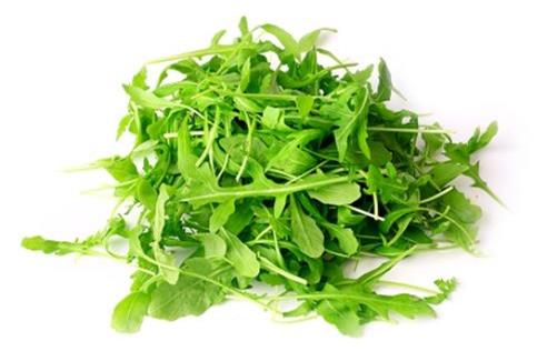 baby-arugula.jpg
